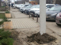 Столбы посреди тротуара, картонные дети и вырубка деревьев: жители обсуждают благоустройство Краснодара