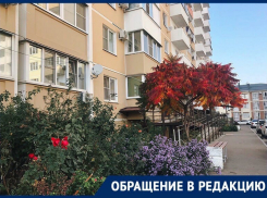 Юг только для русских: в Краснодаре не сдают жильё армянам