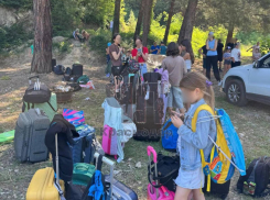 Более 60 детей остались без отдыха на побережье Черного моря из-за директора турагентства