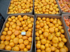 Из-за клопов, уничтоживших в Сочи половину цитрусовых, в России подорожают апельсины
