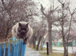 На Кубани рабочая неделя начнется без осадков 