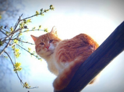 В Краснодар возвращается теплое солнце