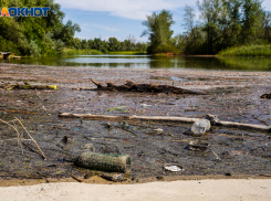 «Всю воблу выловили, потом продают её на море в 5 раз дороже»: астраханец о массовом потоке краснодарских туристов