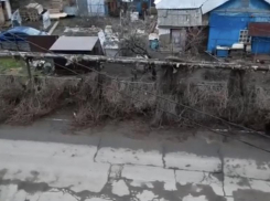 Краснодарцы жалуются на некачественную уборку вьющегося растения
