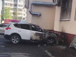 Краснодарка ищет того, кто сжег ее иномарку посреди ночи