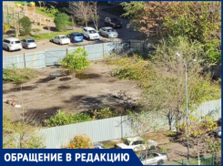 В Краснодаре на бывшей земле Минобороны вырубили деревья ради банка