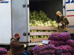  В Минсельхозе Кубани рассказали о помощи фермерам с продажей овощей 