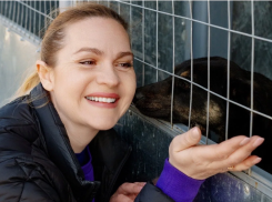 300 килограммов корма и 150 надежд: как строительная компания ССК поддерживает бездомных собак