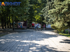 Температура воздуха в Краснодаре опустится до +27