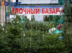 Открытие ёлочных базаров в Краснодаре отложили из-за тёплой погоды