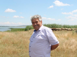 Следователи проверяют причастность депутата к расстрелу собак на Кубани