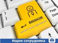 В Краснодаре ищут онлайн-промоутера