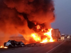 Двое жителей Краснодарского края погибли в жестком ДТП в Воронежской области