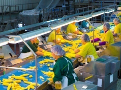 На Кубани намерены создать 39 тысяч новых рабочих мест