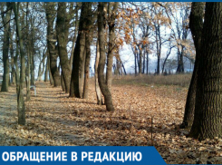 Краснодарцы назвали самую неблагоустроенную территорию города