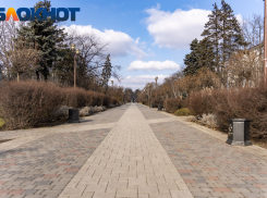 Главное в Краснодаре: молния убивает, порядок эвакуации определили, Солнечный остров почти под запретом, Матвей Сафонов судится, а баптистов пытались поджечь