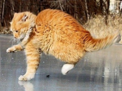 Штормовое предупреждение: «погодный апокалипсис» возвращается в Краснодар 