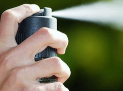 Ученик, распыливший газ в краснодарской школе, состоит на учете в полиции