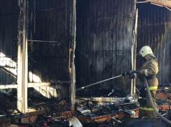 На Кубани продавцы станичного рынка ушли праздновать, и теперь им некуда возвращаться