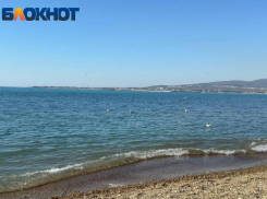 «Низкие цены, холодная вода в море и много людей на пляже»: туристка об отдыхе в Краснодарском крае и Крыму