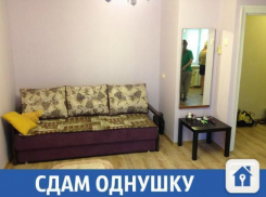 Уютная однушка сдается в Краснодаре