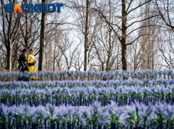 Парк Галицкого в Краснодаре готовят к весеннему наплыву туристов