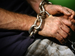 СМИ: Двое выживших рабов сбежали с фермы кубанского судьи