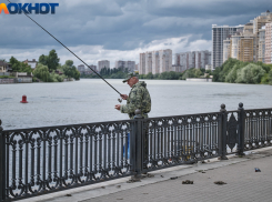 Роскосмос признал Краснодар самым не озеленённым городом-миллионником России