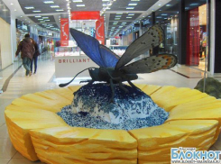 В Краснодаре открылась выставка гигантских насекомых