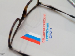 ОНФ рассказал о свалках и о венике губернатору Краснодарского края