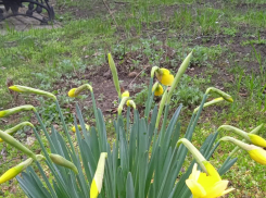 Актуальный Краснодар 23 марта: отмечаем день мужской солидарности, ищем одинаковые носки, не ищем новую работу, поминаем «Азов-Сити»