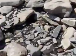  Под Новороссийском кафе загрязнило Черное море 