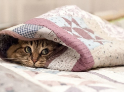 Дожди и грозы могут вернуться в Краснодарский край