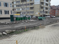  Непролазная грязь мешает краснодарцам выбрасывать мусор 