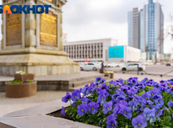 В Краснодаре 30% компаний организуют для сотрудников летние корпоративы