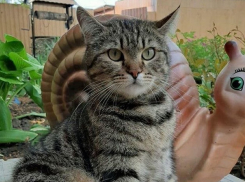 Температура воздуха в Краснодарском крае опустится до +3 градусов