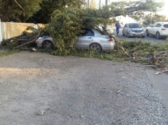 Ураганный ветер на Кубани: повалены столбы и десятки деревьев, сорваны крыши 