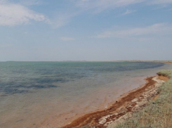  Масляное пятно образовалось в акватории Азовского моря 