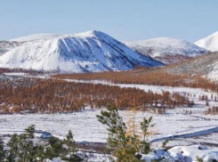 В подарок получил жизнь на Дальнем Востоке житель Краснодарского края