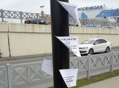 Листовки на столбах довели сочинцев «до ручки»