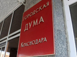 В Краснодаре объяснили появление флага Сербии у депутатов в День народного единства