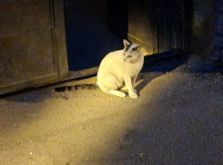 В Краснодарском крае спрогнозировали дождь с мокрым снегом