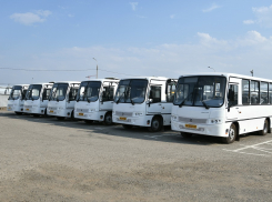 Это ад: жители Краснодара умоляют мэра предоставить школьный автобус