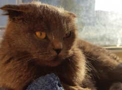 В Краснодаре 11 сентября будет небольшой дождь