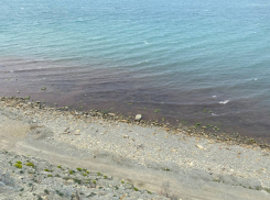 В Краснодарском крае покраснело Чёрное море 