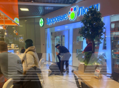 СМИ: в аэропорту Пулково задержали депутата Госдумы от Краснодарского края Дмитрия Пирога