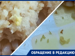 В детской больнице в Анапе пациентов кормят мясом с личинками