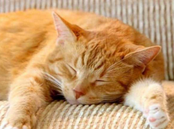 Погожий денек ожидает жителей большинства районов Краснодарского края