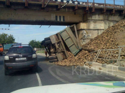  «КамАЗ» со свеклой зацепился за мост и перевернулся в Динской 