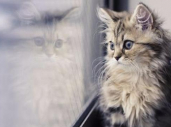 Над жителями Краснодарского края нависли тучи 